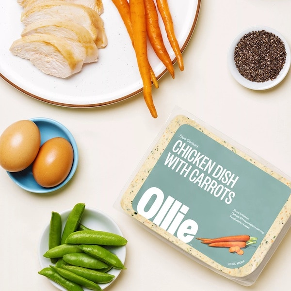 Ollie chicken dog food recipe