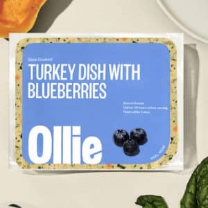 ollie turkey dish with blueberries fresh food recipe