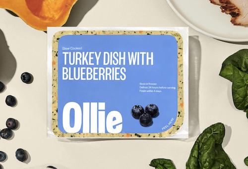ollie turkey dish with blueberries fresh food recipe