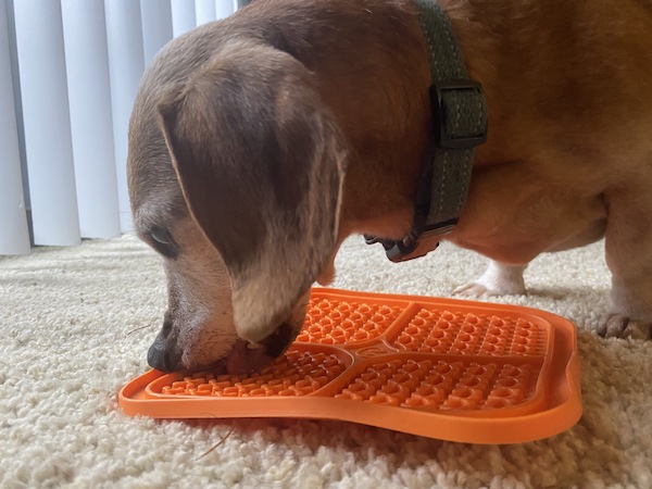 Dog chews happily on orange lick mat
