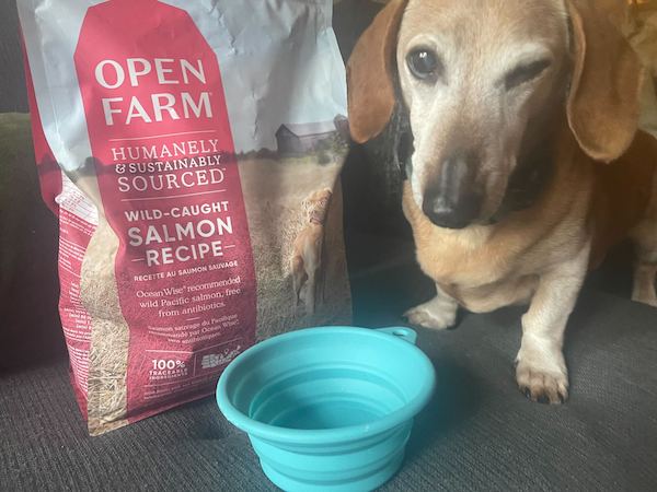 Dog sits in front of Open Farm food
