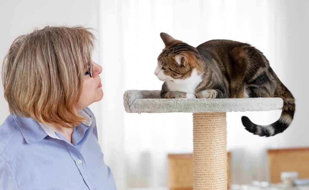 A woman speaking to and looking at her cat