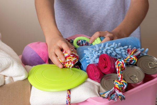 Person packing dog food and toys