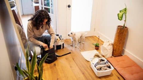 Woman packing emergency go bag for her dog