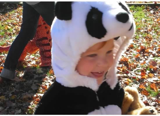Catherine Violet Hubbard dressed as a panda