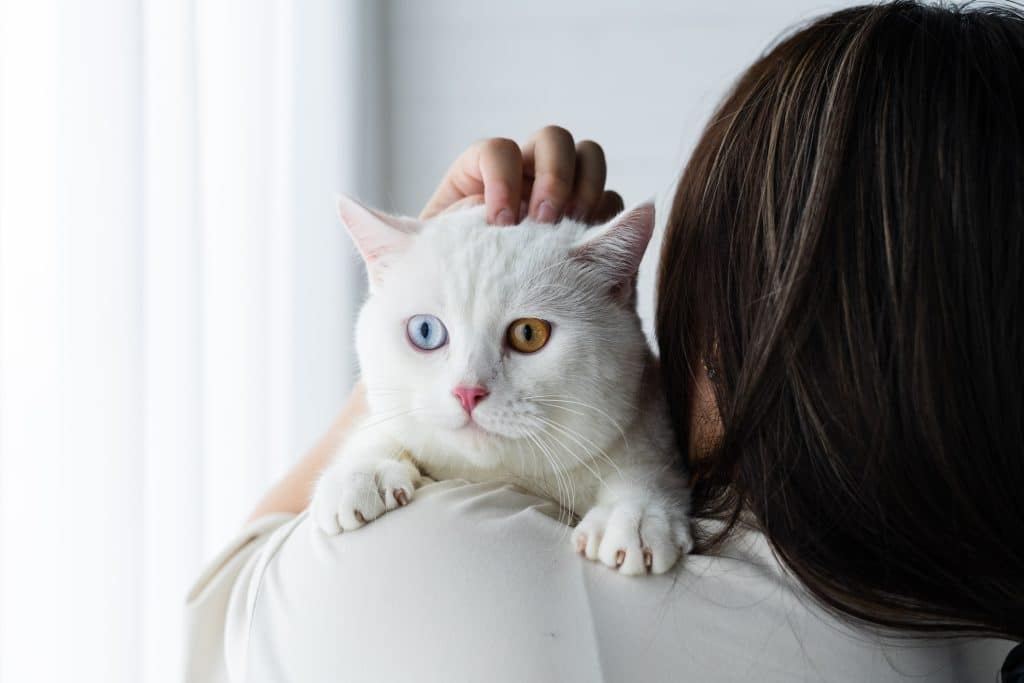 A woman holding her white cat
