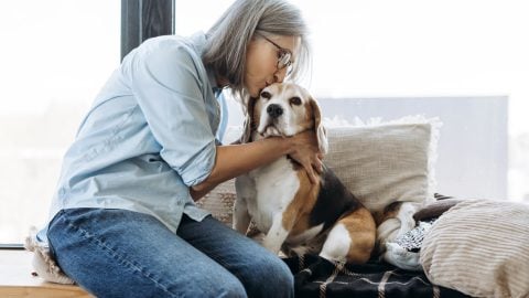 Person sitting on couch kissing dog's head