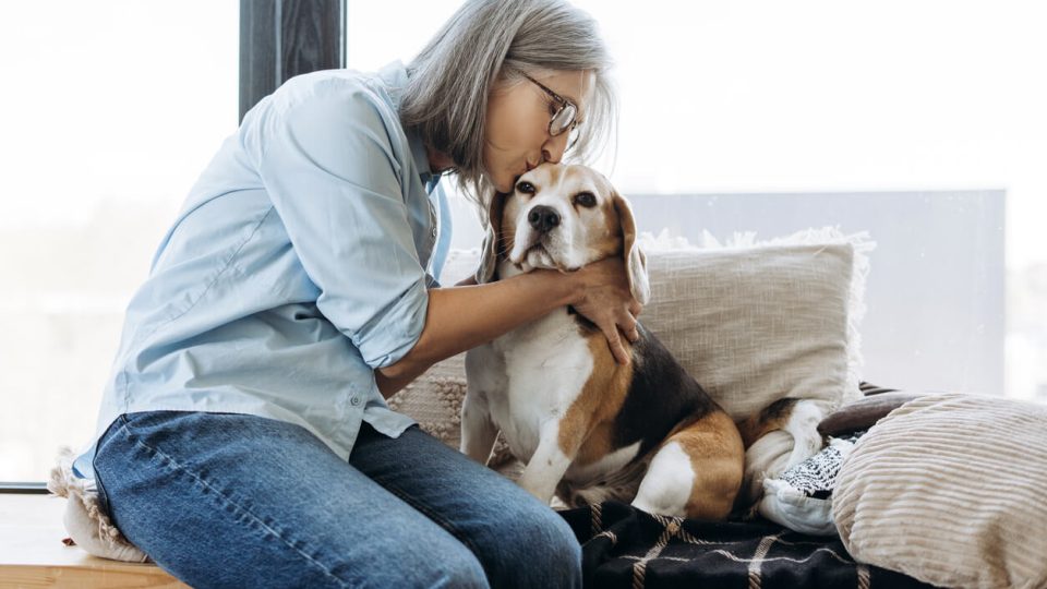 Person sitting on couch kissing dog's head
