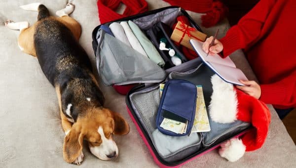 Dog lays next to an open suitcase while pet parent makes a list