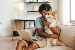 Person holding dog searches for pet sitter online