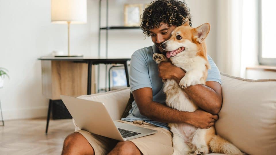 Person holding dog searches for pet sitter online