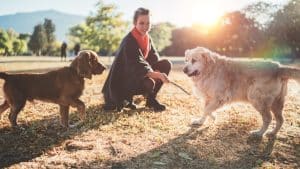 Woman introducing two dogs at the dog park