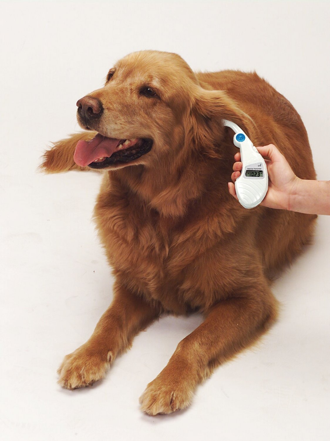 https://www.rover.com/blog/wp-content/uploads/pet-temp-ear-thermometer-with-dog.jpg