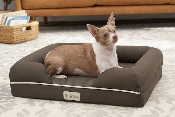 Small dog laying on PetFusion Ultimate bed