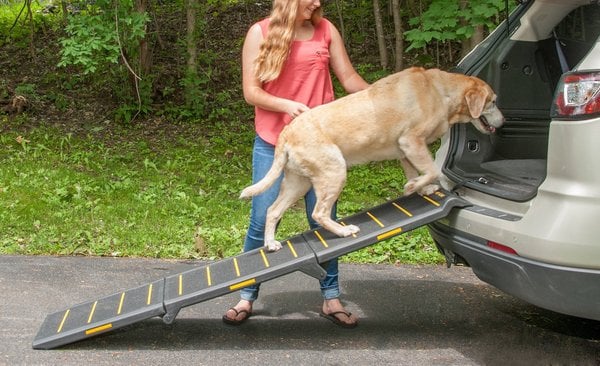 foldable car ramp for cats and dogs