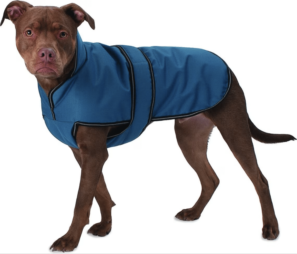 PetRageous Designs Juneau Insulated Dog Jacket