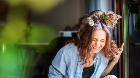 Person sitting with cat on shoulder by window