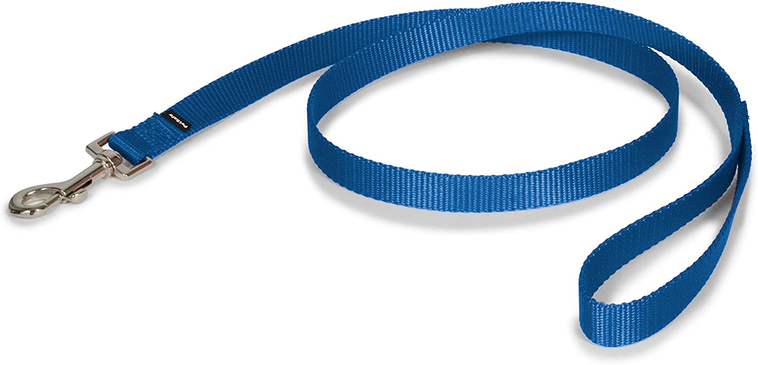 blue nylon leash