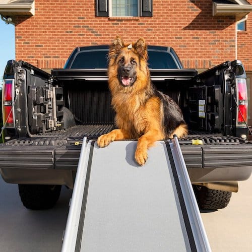 PetSafe Happy Telescoping Dog Ramp