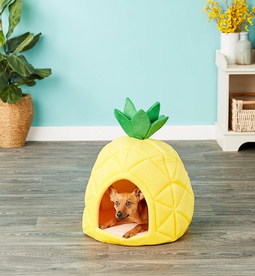 Dog in yellow pineapple bed