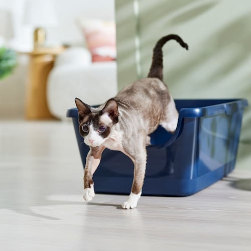 Frisco High-Sided Litter Box