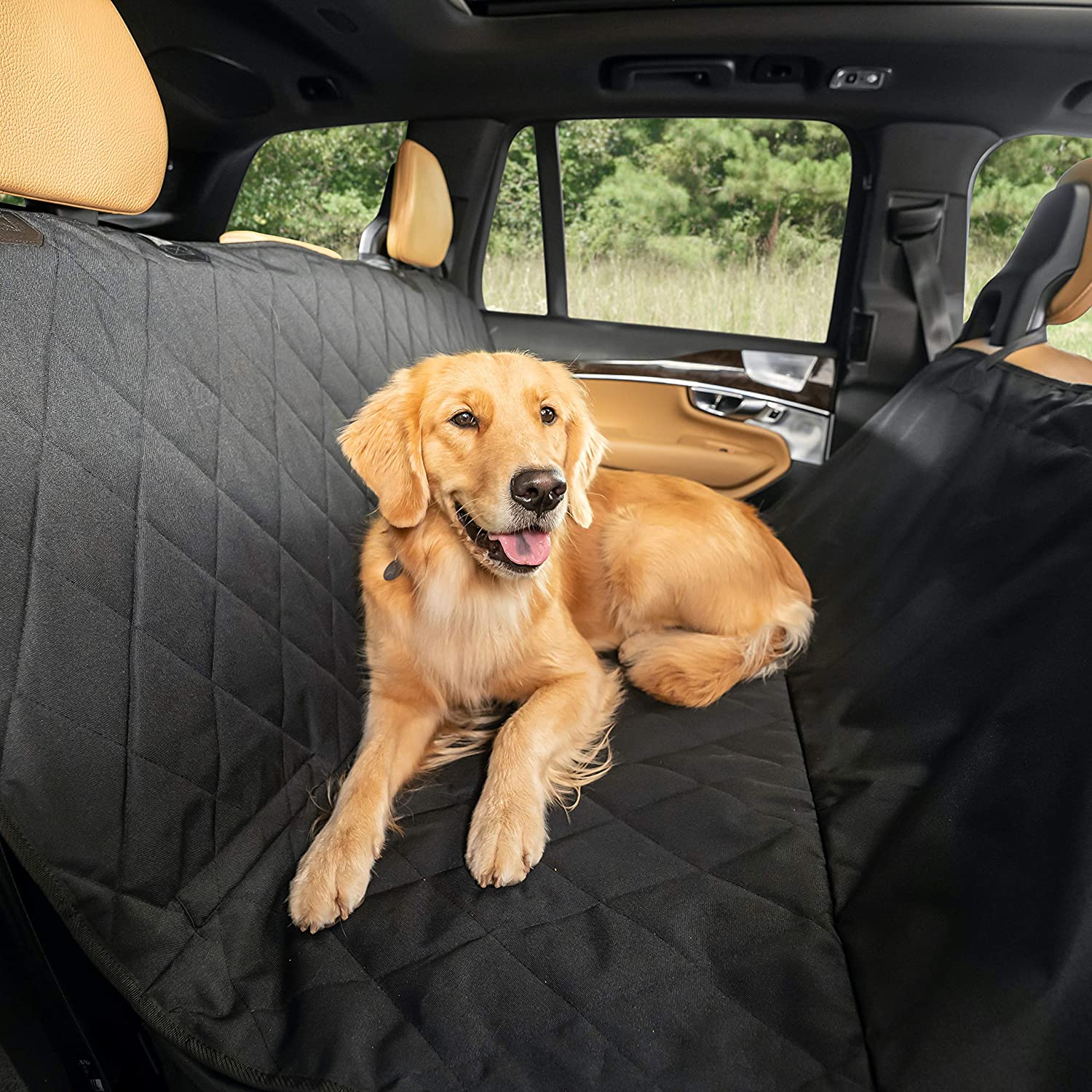 golden retriever lying in the back seat of the car