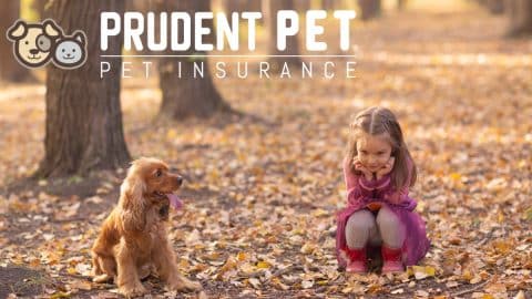 Girl sits in leaves next to dog beneath Prudent Pet logo
