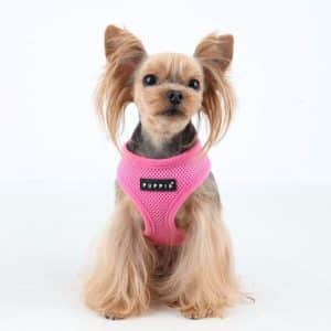 Puppia Soft Dog Harness