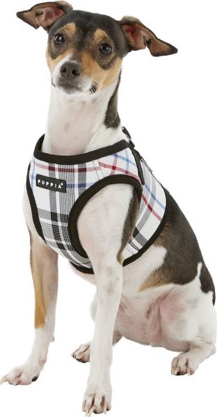 Small dog sits in Puppia vest harness in plaid