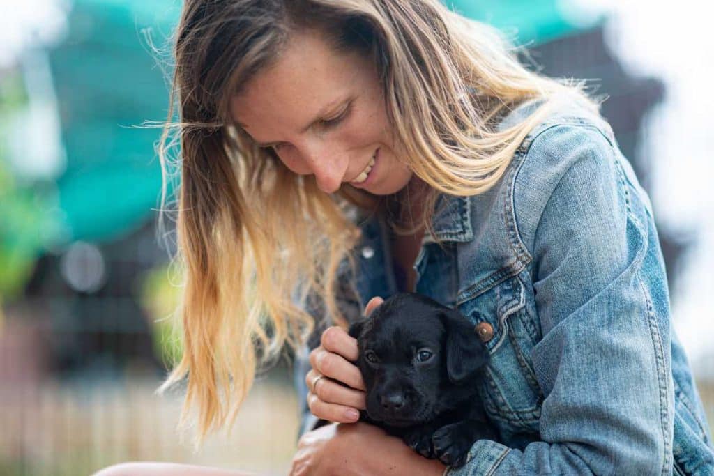 Young woman cuddling a cute purebred black labrador retriever puppy.