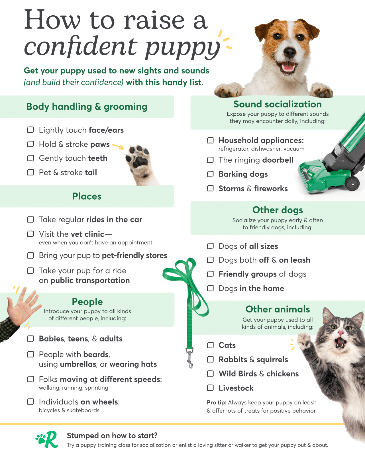 Checklist of people, places, and things to socialize a puppy to