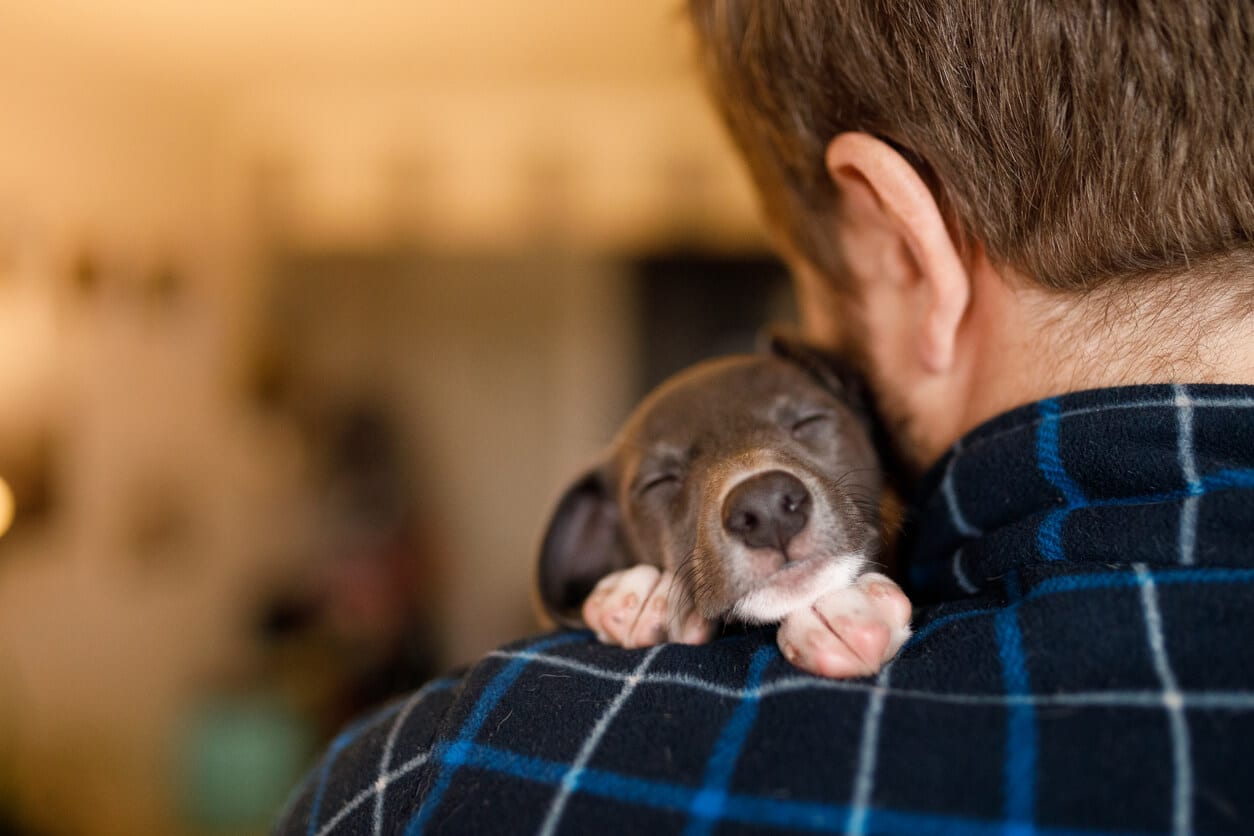 New Dog Owner's Guide  Tips for First-Time Dog & Puppy Owners