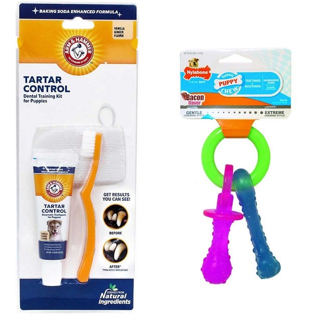 Arm and Hammer Puppy Toothbrush Set