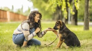 Young woman playing with her German Shepherd dog at the park