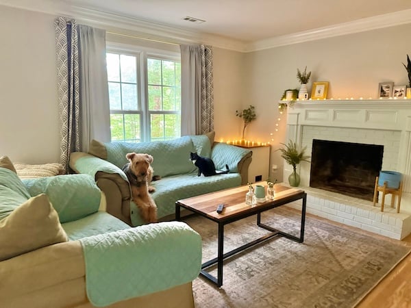 Cozy living dog-friendly living room with pets