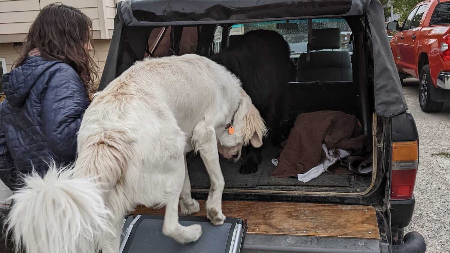 Rover Test Pups Review the PetSafe Happy Ride Dog Ramp