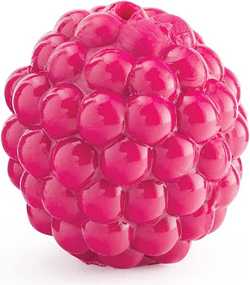 Planet Dog Orbee-Tuff Raspberry Treat-Dispensing Toy