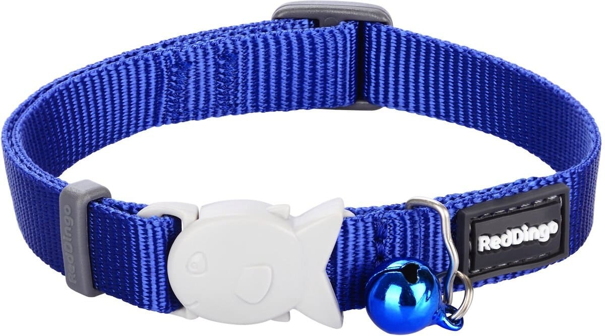 blue cat collar with fish-shaped breakaway buckle
