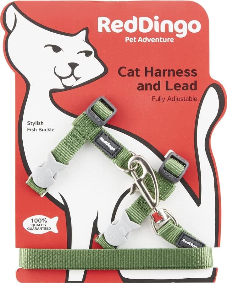 green cat harness and leash set