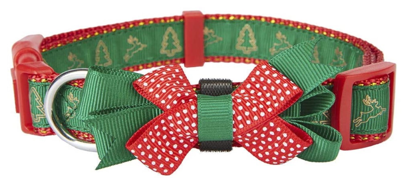 red and green dog collar with bow