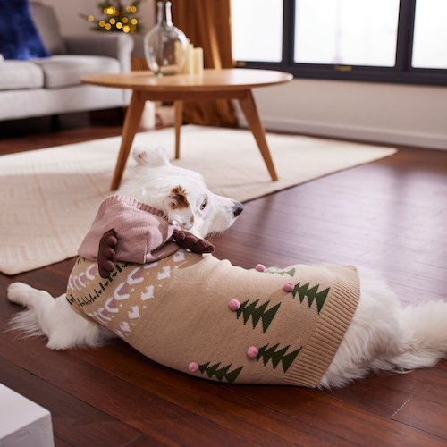 Dog lying on wooden floor wearing a reindeer sweater