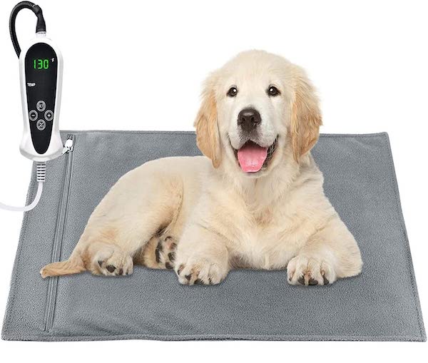 Dog sitting on Riogoo heated dog bed