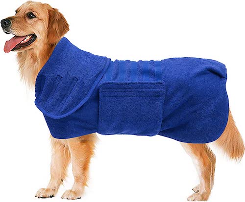 A Golden Retriever wearing a blue dog bathrobe. 