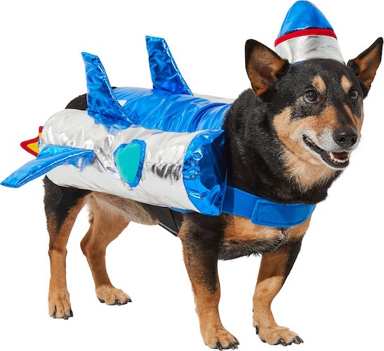 dog wearing rocket ship costume