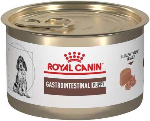 royal canin gastrointestinal food