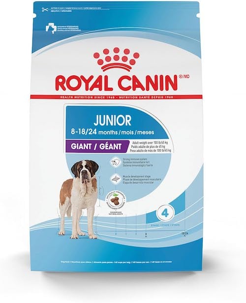 royal canin large breed junior dry dog food