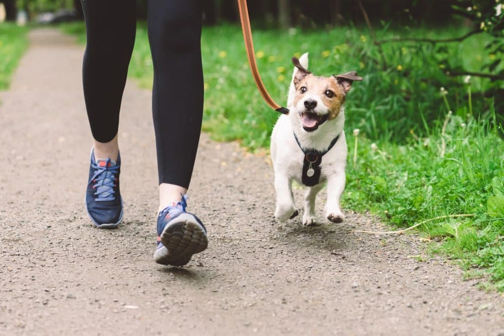 A woman running with her dog outside