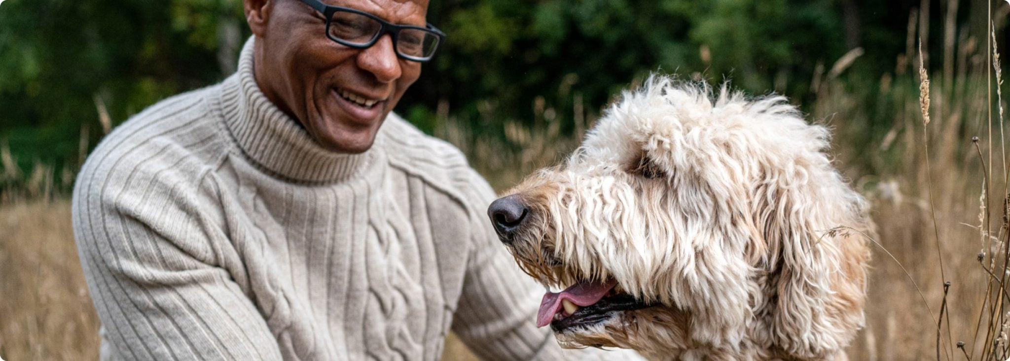 Safety tips from real sitters | The Rover Blog