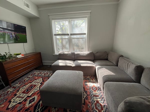 A cozy dog-friendly living room