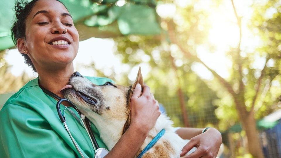Vet hugs dog outside
